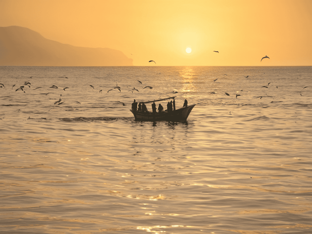 Sustainable Ocean Futures conservation